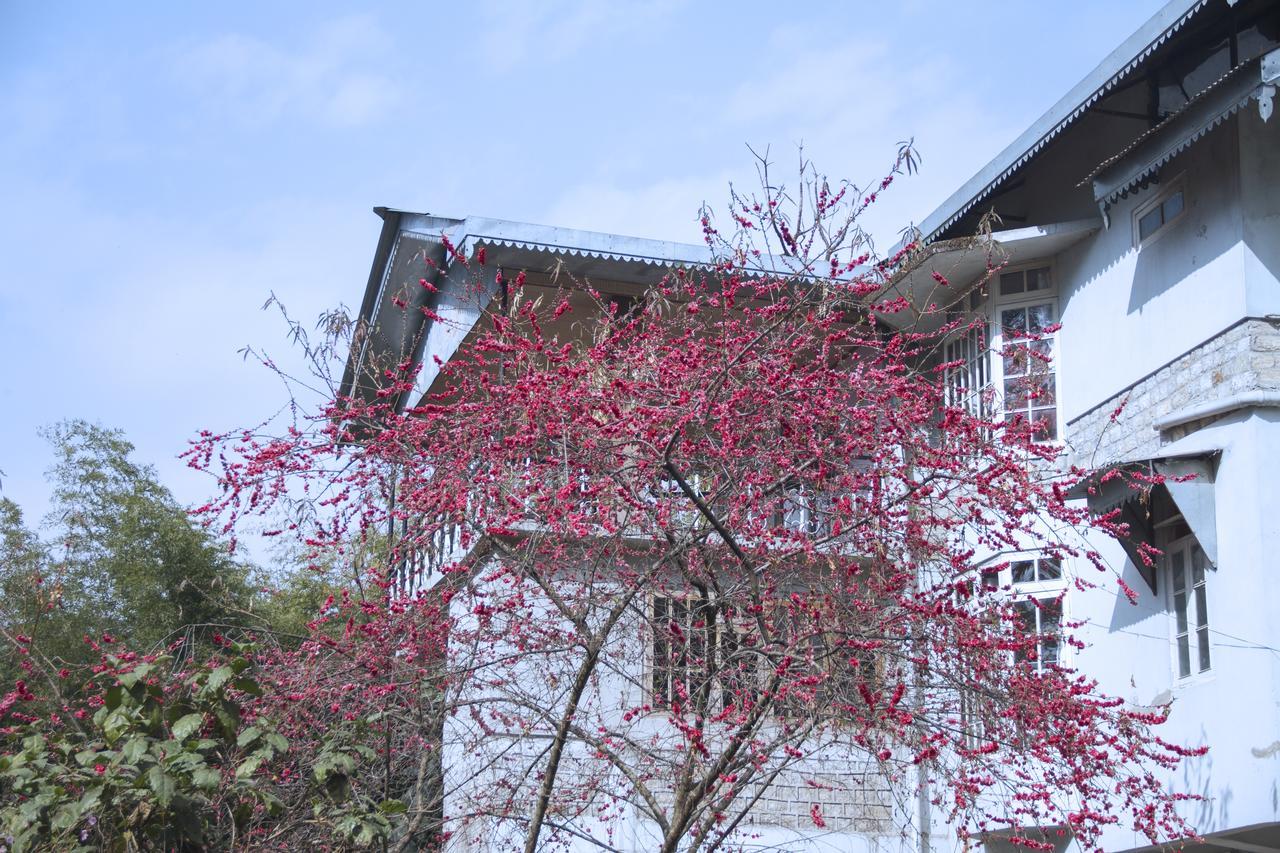 The Mazong Hotel Gangtok Exterior foto